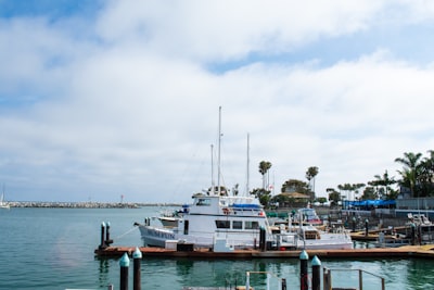 Dana Point