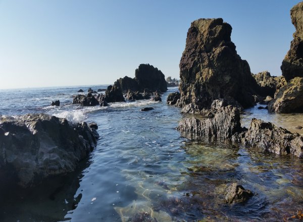 Heisler Park Tide Pools